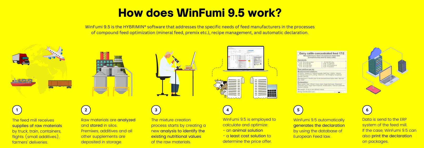 WinFumi process