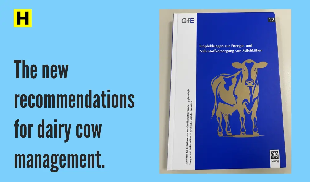 new recommendations for dairy cow management