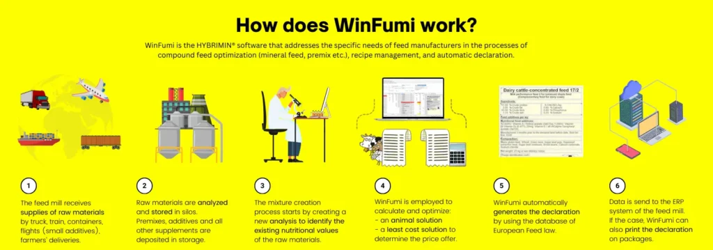 Infographic explaining how WinFumi software streamlines feed production processes. Six steps are outlined: 1) Raw materials are received at the feed mill, 2) Materials are analyzed and stored, 3) Mixtures are created by analyzing nutritional values, 4) WinFumi calculates optimal and cost-effective recipes, 5) The software generates feed declarations compliant with European feed laws, and 6) Data is integrated into the ERP system or printed on packaging. Bright yellow background with supporting icons and text descriptions.