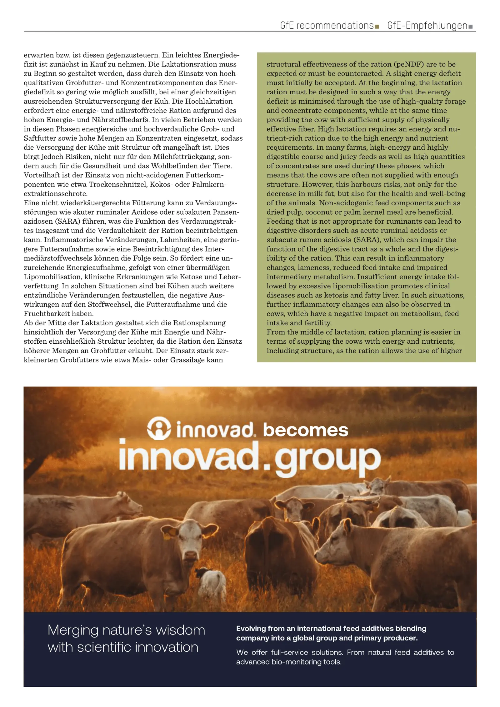 Ruminant-appropriate nutrition The peNDF concept and more for dairy cows, FeedMagazine/Kraftfutter 9-10/2024, page 3